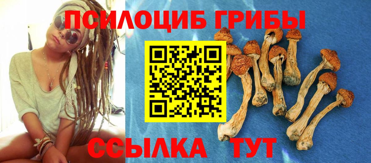 Псилоцибиновые грибы MAGIC MUSHROOMS Нижнеудинск