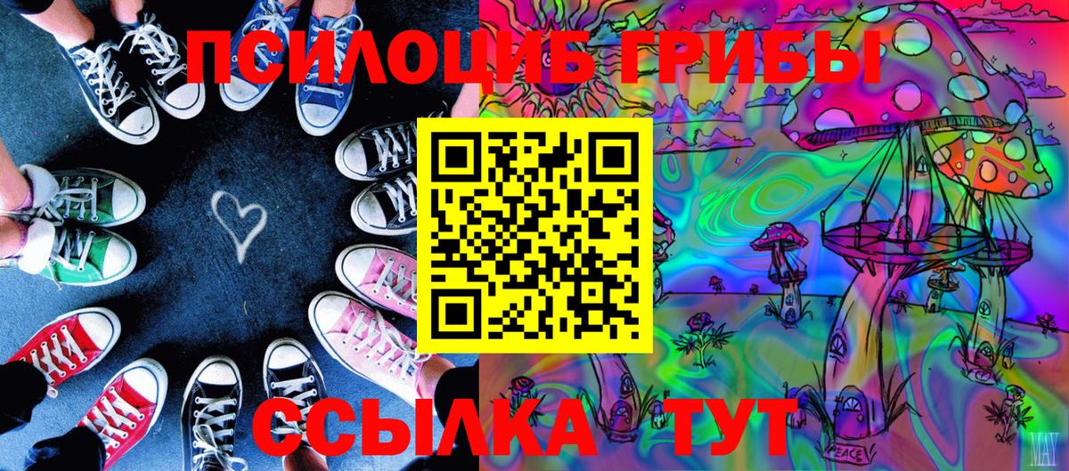 Галлюциногенные грибы MAGIC MUSHROOMS  Вход с VPN  Нижнеудинск  Галлюциногенные грибы прущие грибы 